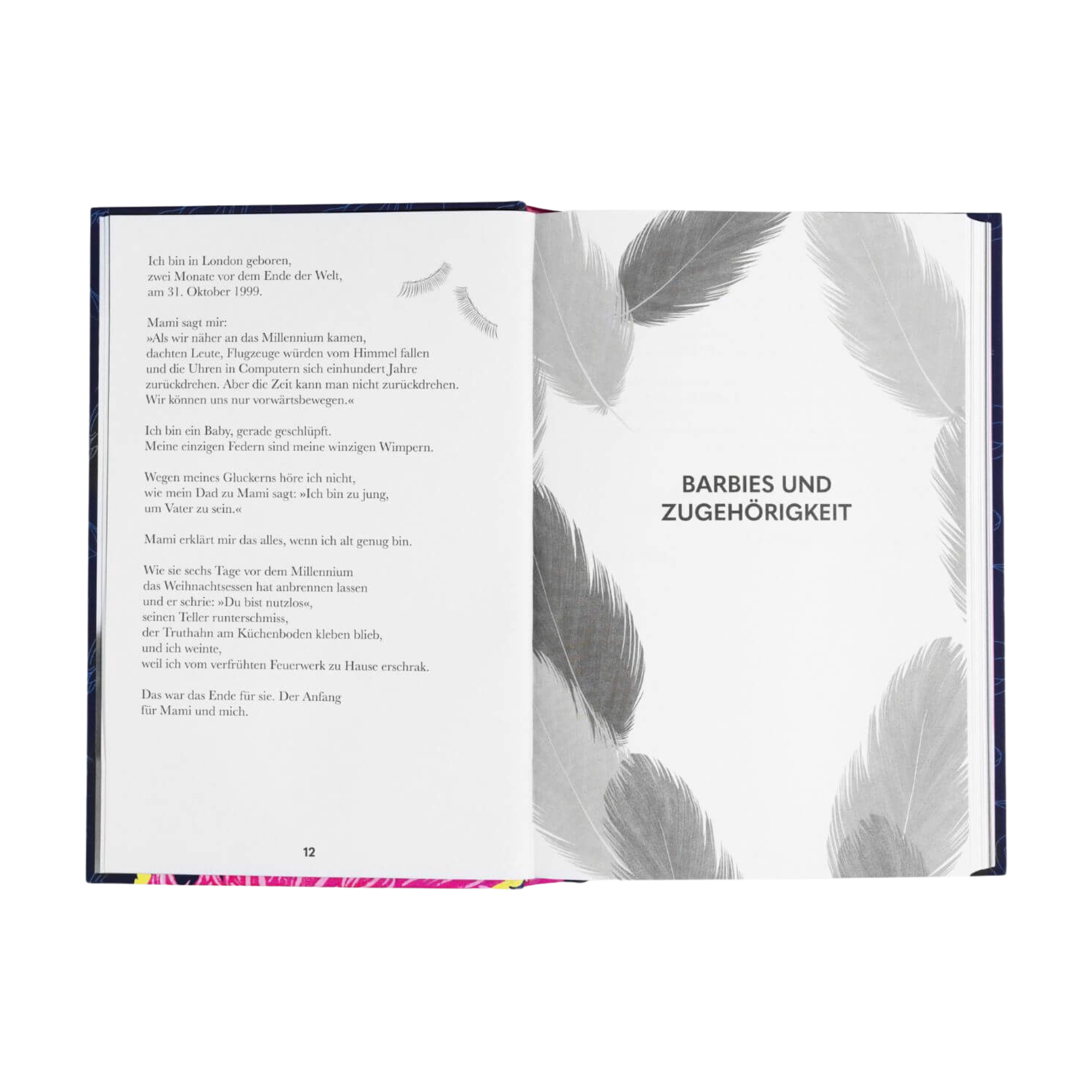 Ein aufgeschlagenes Buch aus "Der Schwarze Flamingo" von Dean Atta zeigt auf der linken Seite einen Text über Migration und Rassismus und auf der rechten Seite eine Seite mit dem Titel BARBIES UND ZUGEHÖRIGKEIT mit Illustrationen aus grauen Federn.