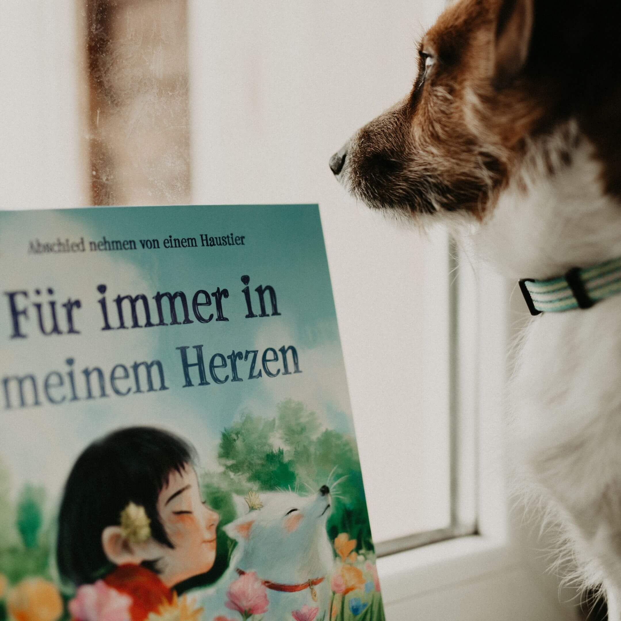 Ein kleiner Hund schaut aus einem Fenster neben dem Kinderbuch "Für immer in meinem Herzen" von Kelly Wu, In der bunt illustrierten Geschichte geht es um Verlust und Trauer, und wie Kinder damit umgehen können.