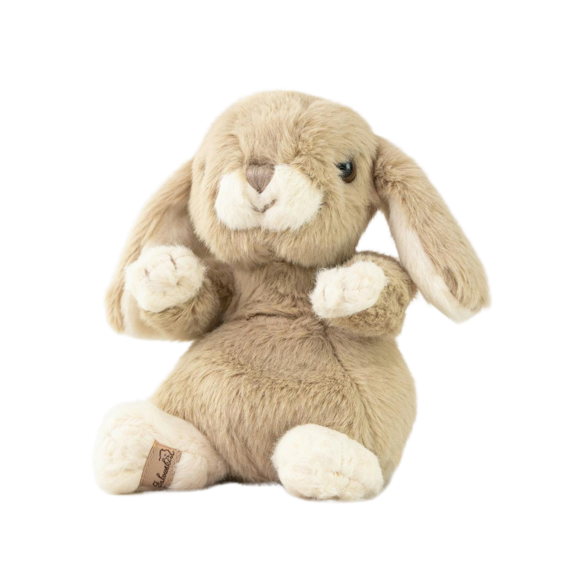 Ein weiches, beiges Bukowski Schweden Häschen mit Schlappohren, weißen Pfoten und einem sanften Ausdruck sitzt aufrecht vor einem weißen Hintergrund.