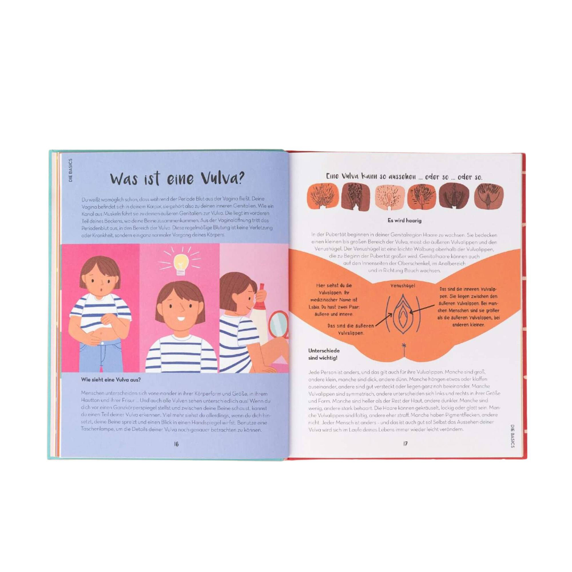 Das "Pubertät Starter Pack" vom Zuckersüß Verlag zeigt illustrierte Seiten über die Vulva - auf der einen Seite ein Mädchen mit Spiegel und beschrifteten Diagrammen, auf der anderen Seite orangefarbene Vulva-Zeichnungen mit deutschem Text und Überschriften.