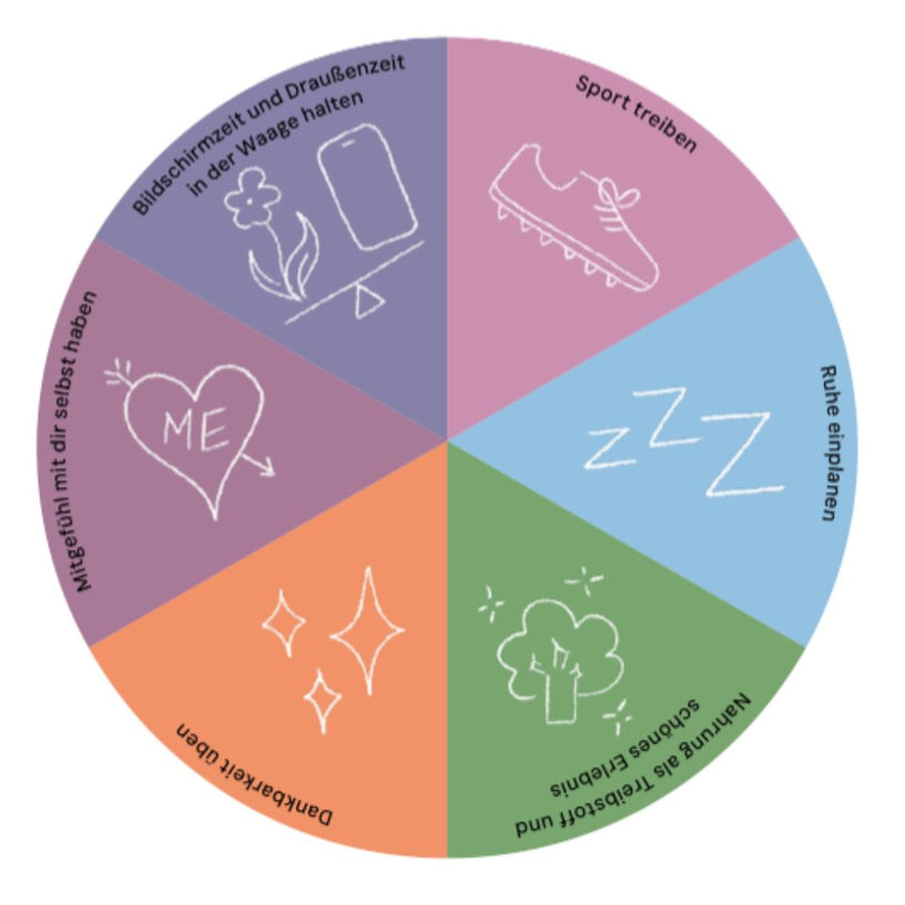 Kreisdiagramm Illus aus "Von null auf Pubertaet"